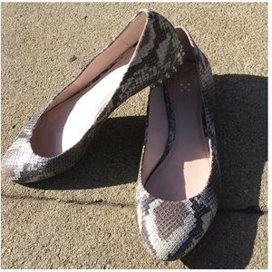 🥰RE-POSHING Vince Comuto Snake Print Flats